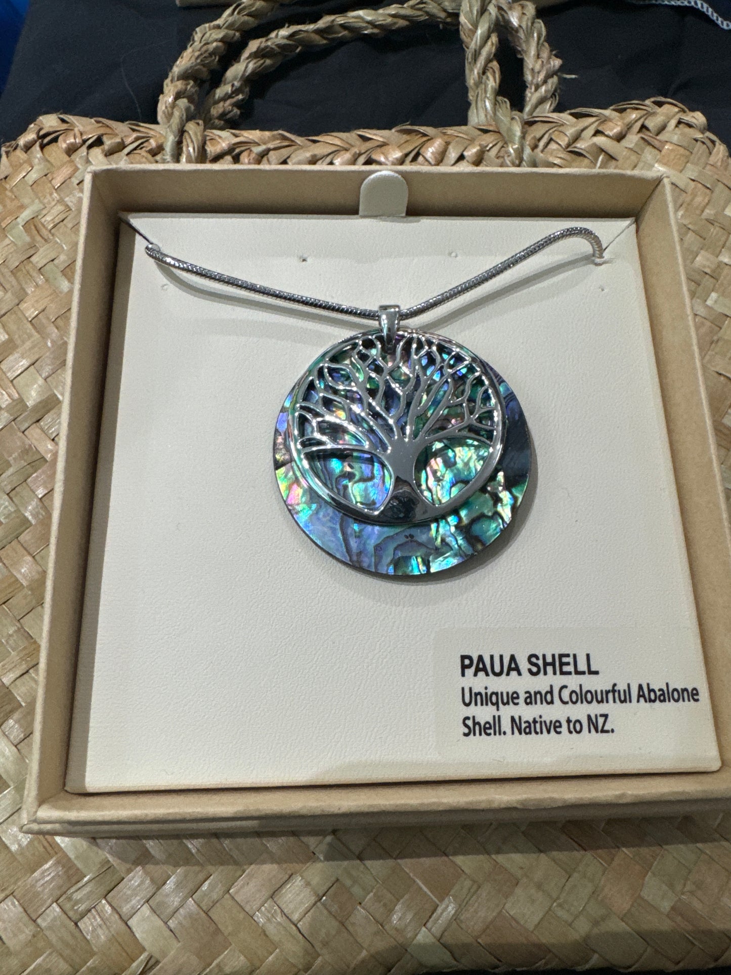 Large Paua Shell Family Tree